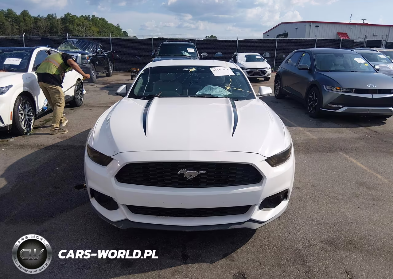 2016 Ford Mustang Ecoboost VIN:1FA6P8TH3G5227207 - 12