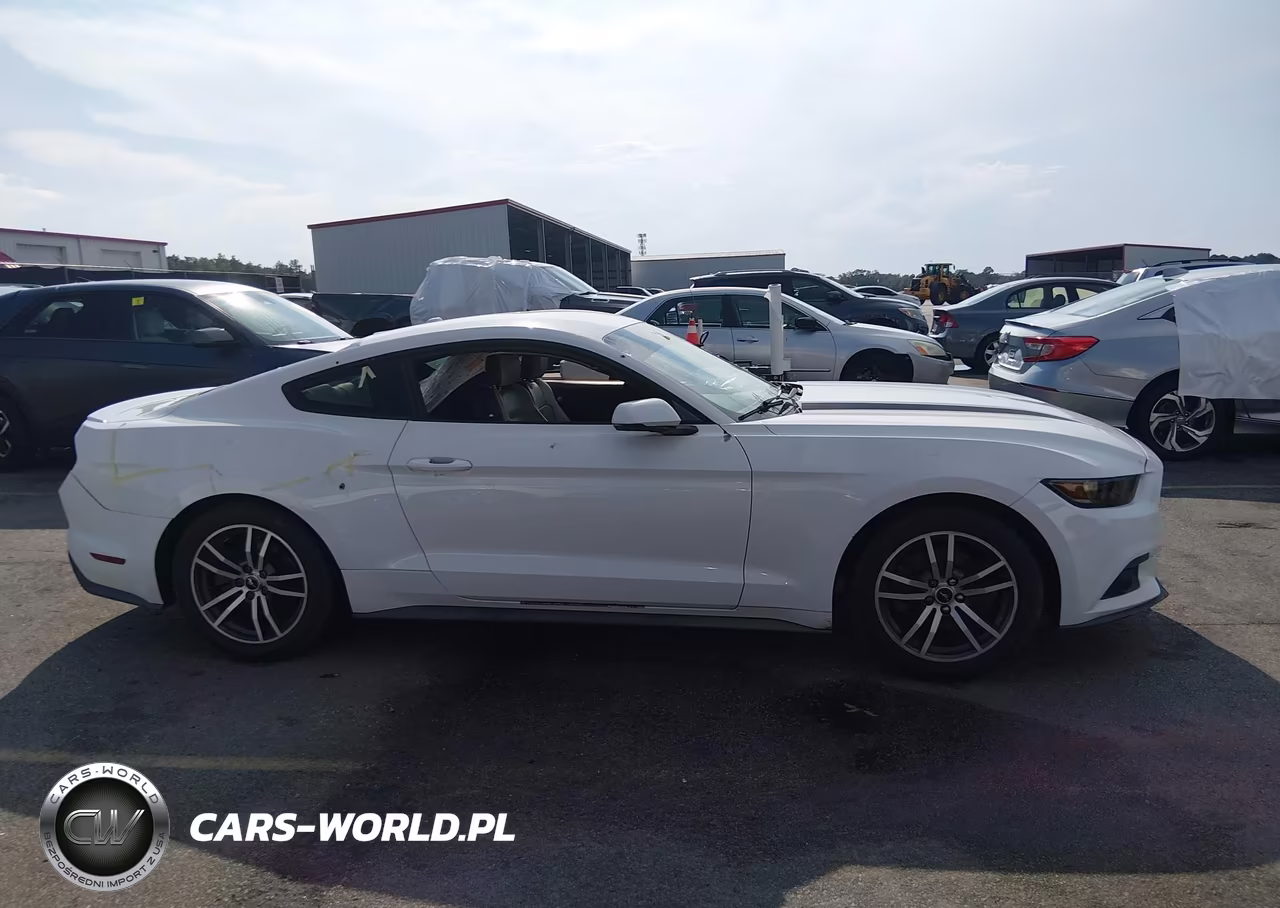 2016 Ford Mustang Ecoboost VIN:1FA6P8TH3G5227207 - 13