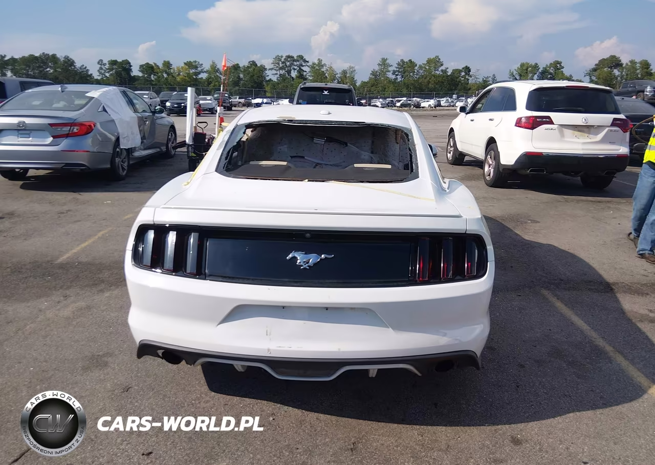 2016 Ford Mustang Ecoboost VIN:1FA6P8TH3G5227207 - 16
