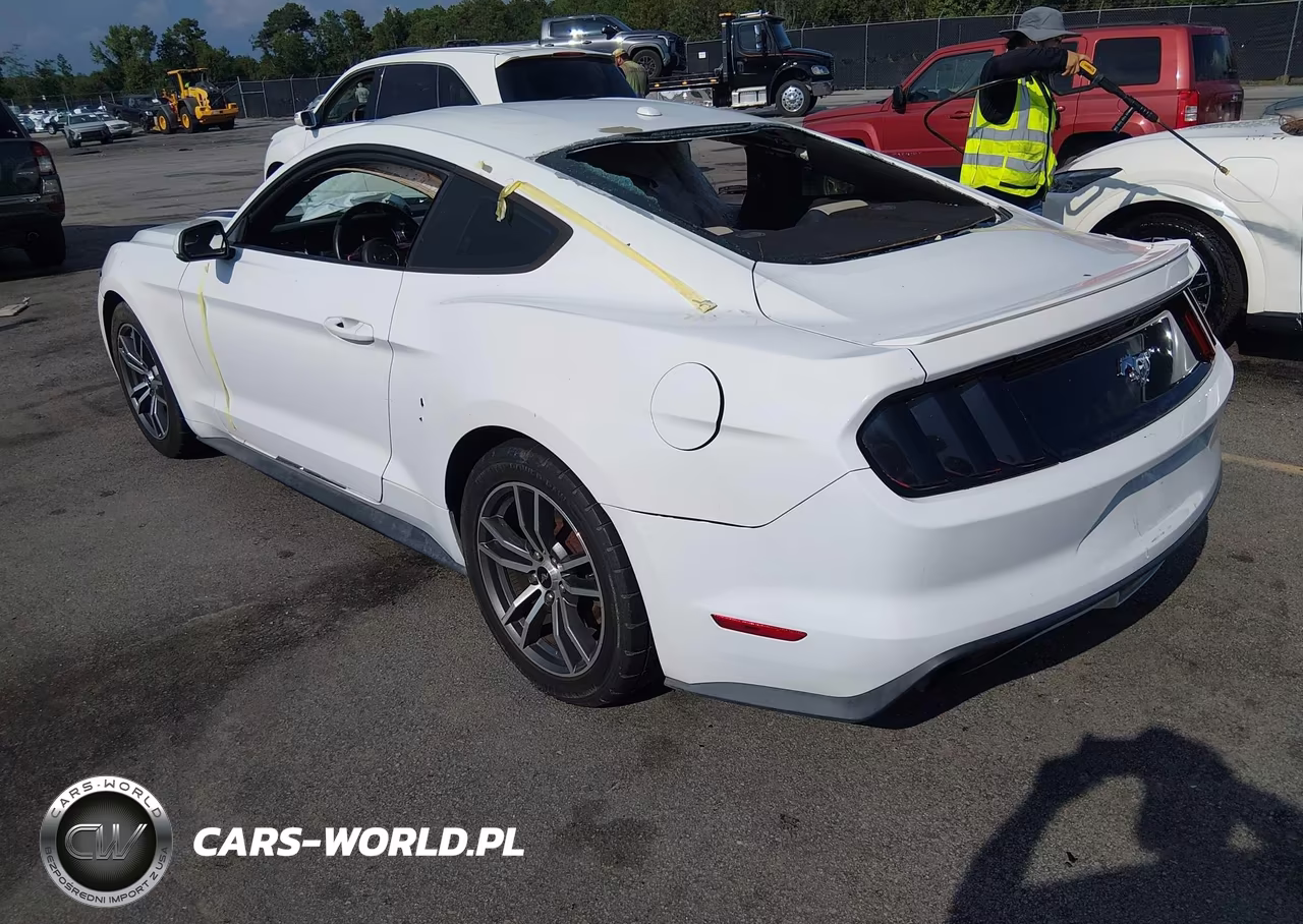 2016 Ford Mustang Ecoboost VIN:1FA6P8TH3G5227207 - 3