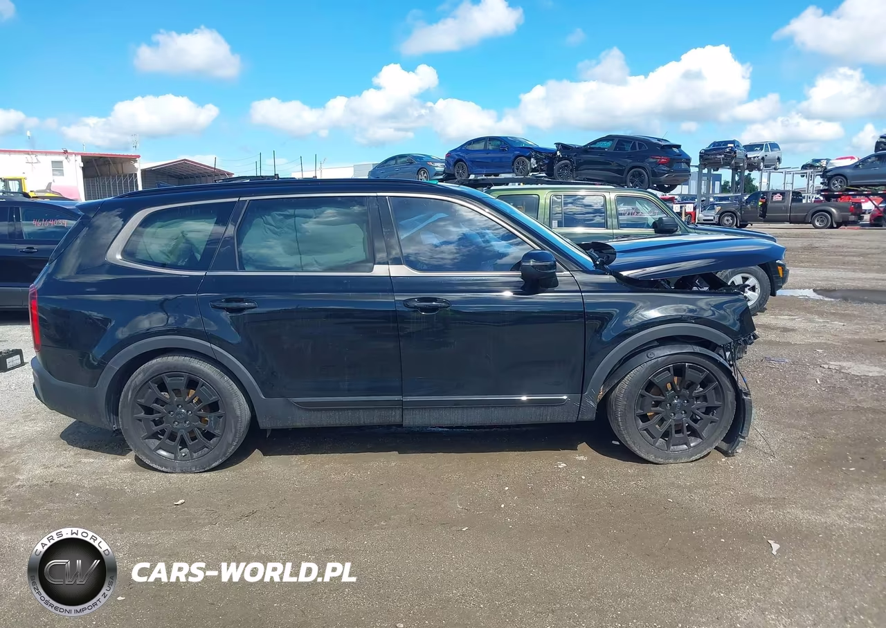 2021 Kia Telluride Ex VIN:5XYP3DHC3MG183163 - 13