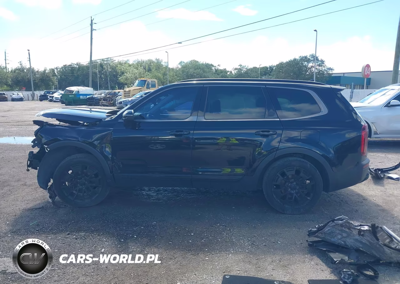 2021 Kia Telluride Ex VIN:5XYP3DHC3MG183163 - 14