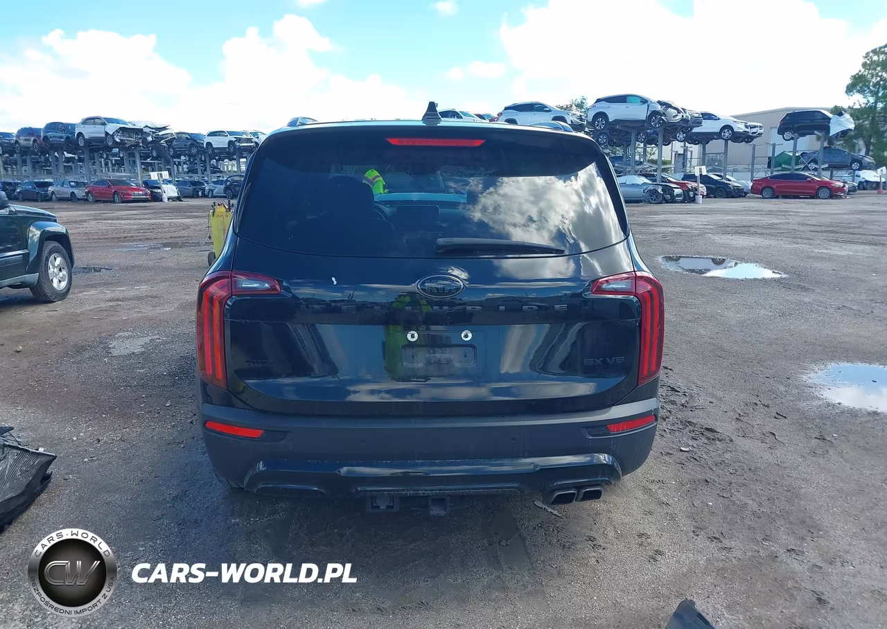 2021 Kia Telluride Ex VIN:5XYP3DHC3MG183163 - 16