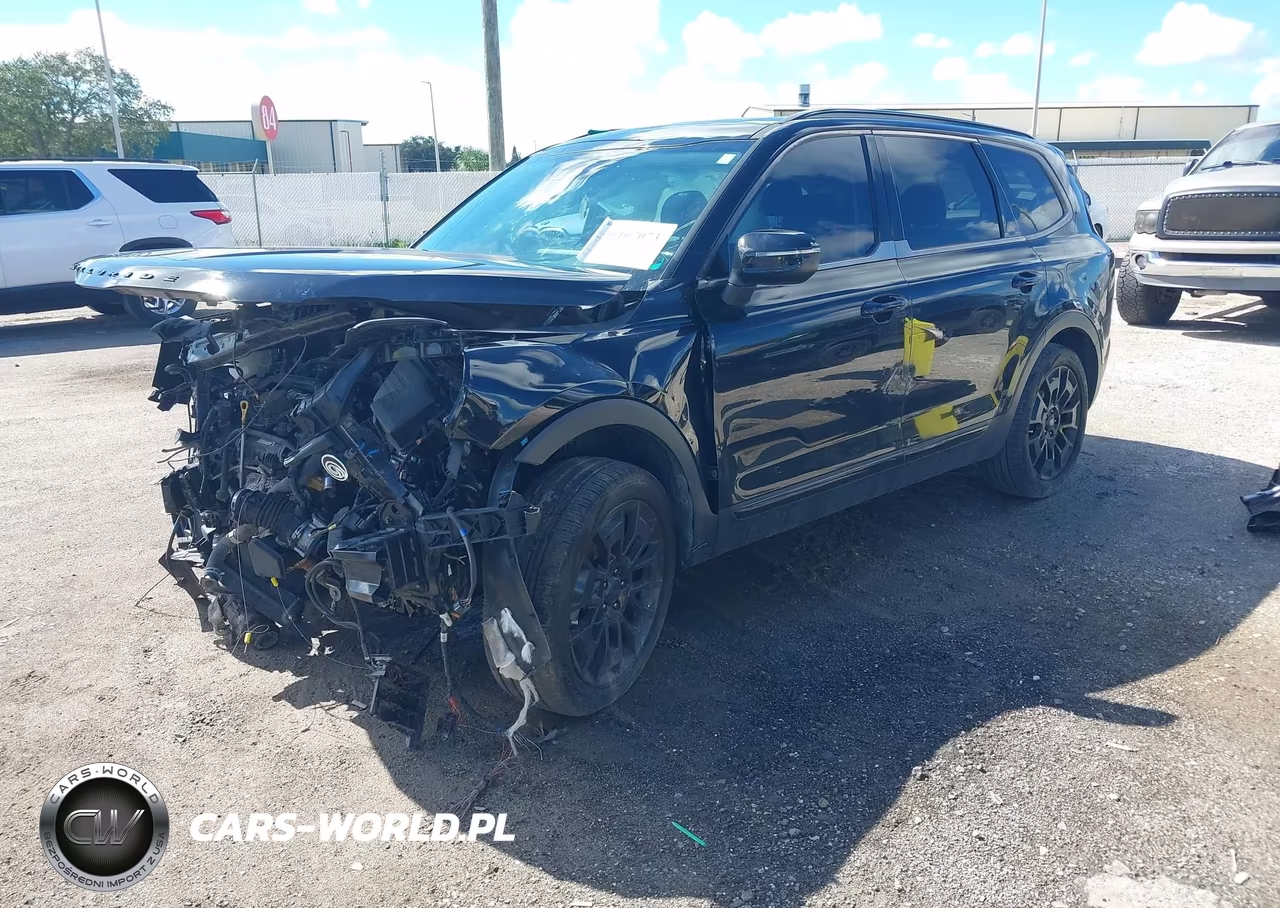 2021 Kia Telluride Ex VIN:5XYP3DHC3MG183163 - 2