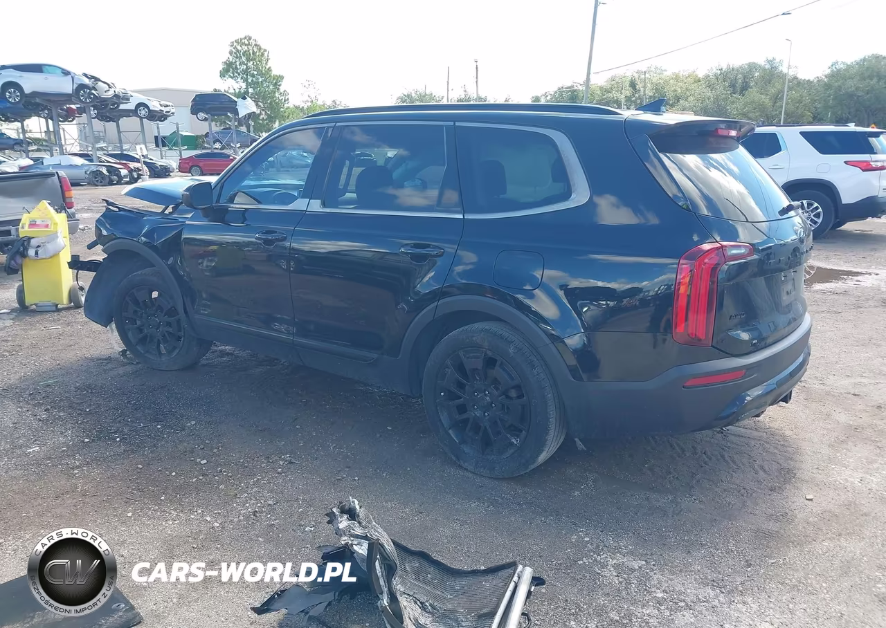 2021 Kia Telluride Ex VIN:5XYP3DHC3MG183163 - 3