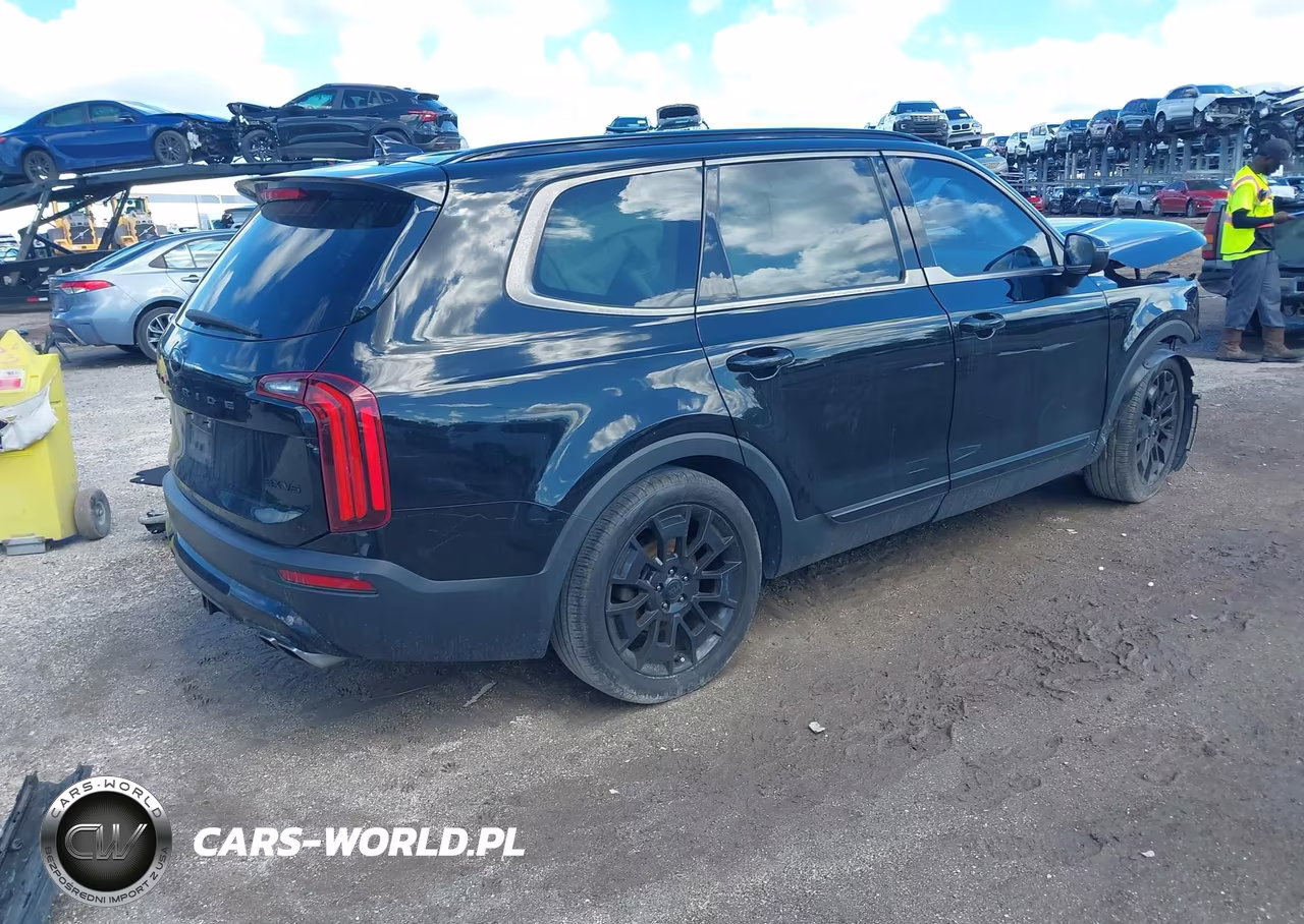 2021 Kia Telluride Ex VIN:5XYP3DHC3MG183163 - 4