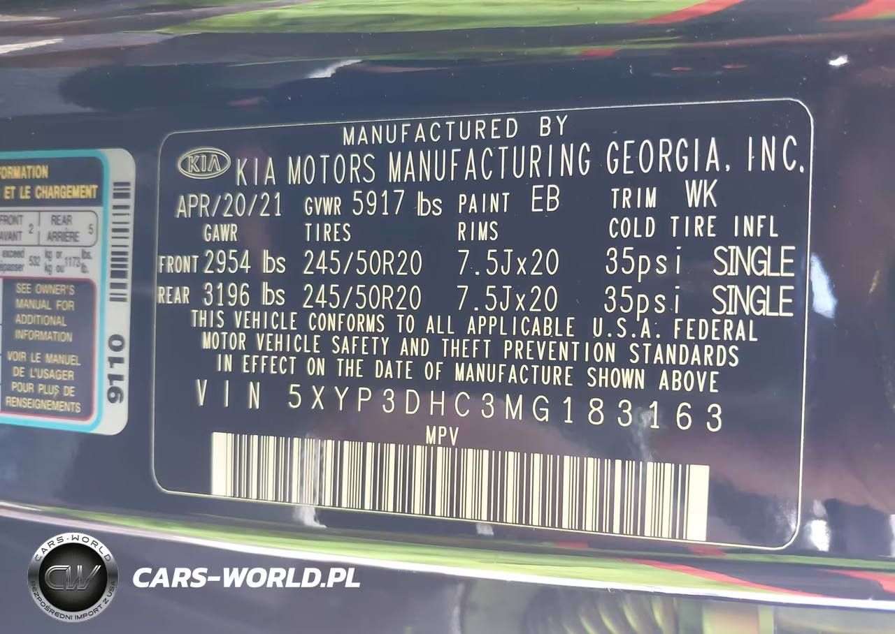 2021 Kia Telluride Ex VIN:5XYP3DHC3MG183163 - 9