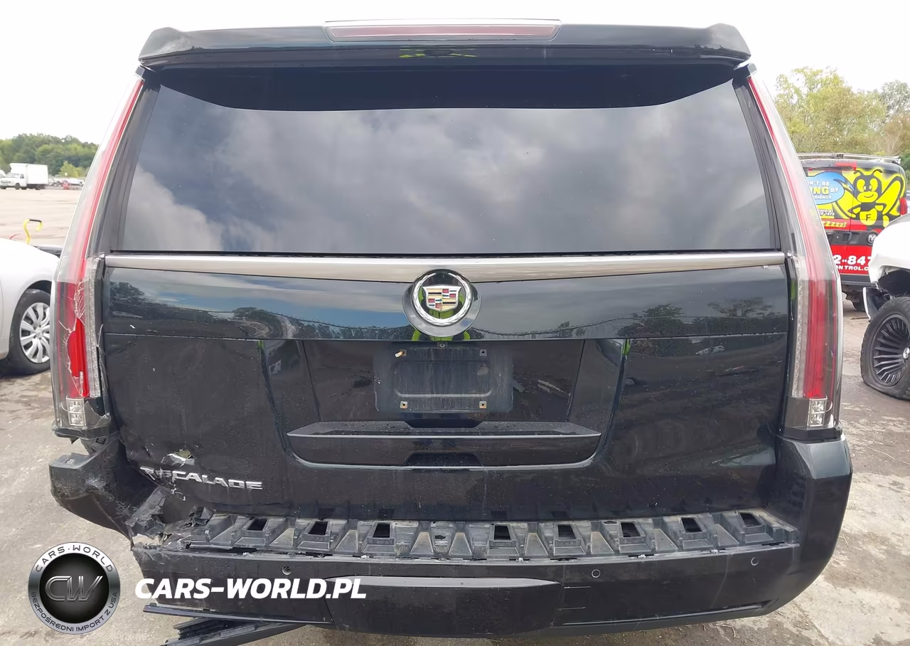2015 Cadillac Escalade Standard VIN:1GYS4AKJ6FR297069 - 16