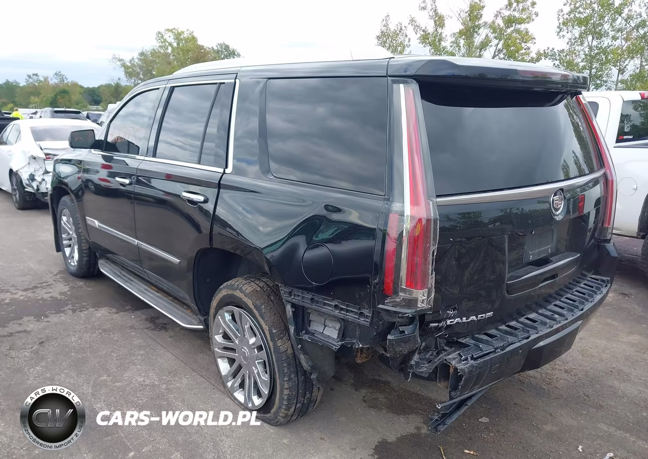 2015 Cadillac Escalade Standard VIN:1GYS4AKJ6FR297069 - 3