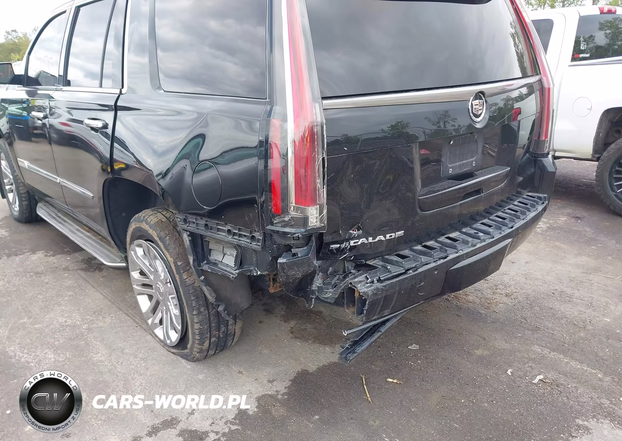 2015 Cadillac Escalade Standard VIN:1GYS4AKJ6FR297069 - 6