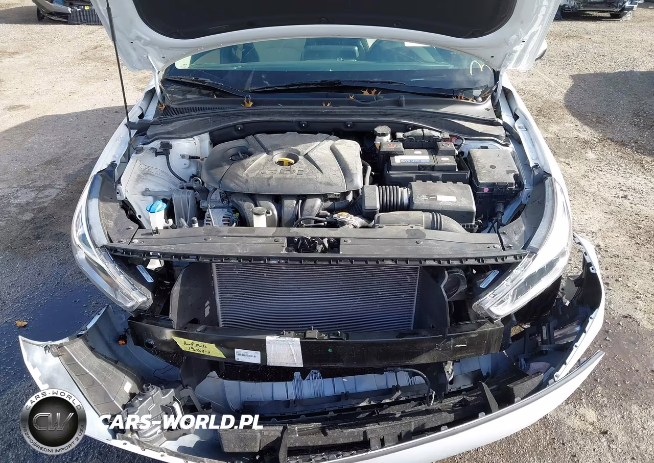 2020 Hyundai Elantra Gt VIN:KMHH35LE9LU135789 - 10