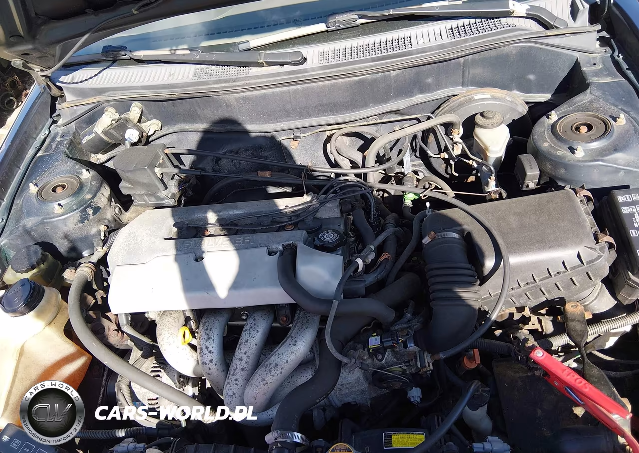 1999 Toyota Corolla Ce VIN:2T1BR12E6XC163782 - 10