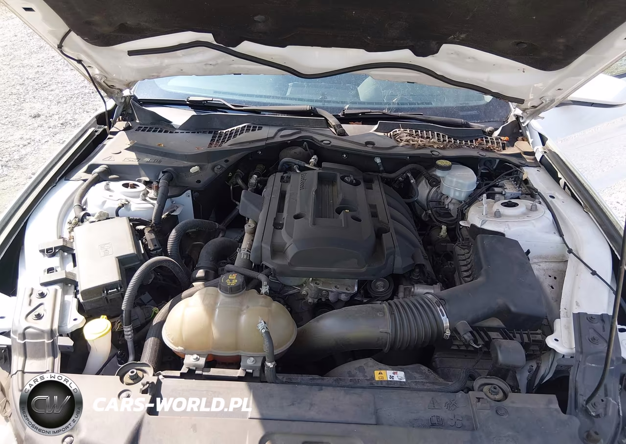2018 Ford Mustang Ecoboost VIN:1FA6P8THXJ5106889 - 10