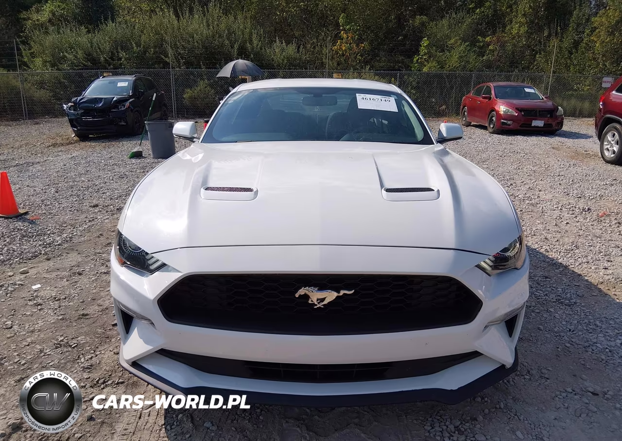 2018 Ford Mustang Ecoboost VIN:1FA6P8THXJ5106889 - 12