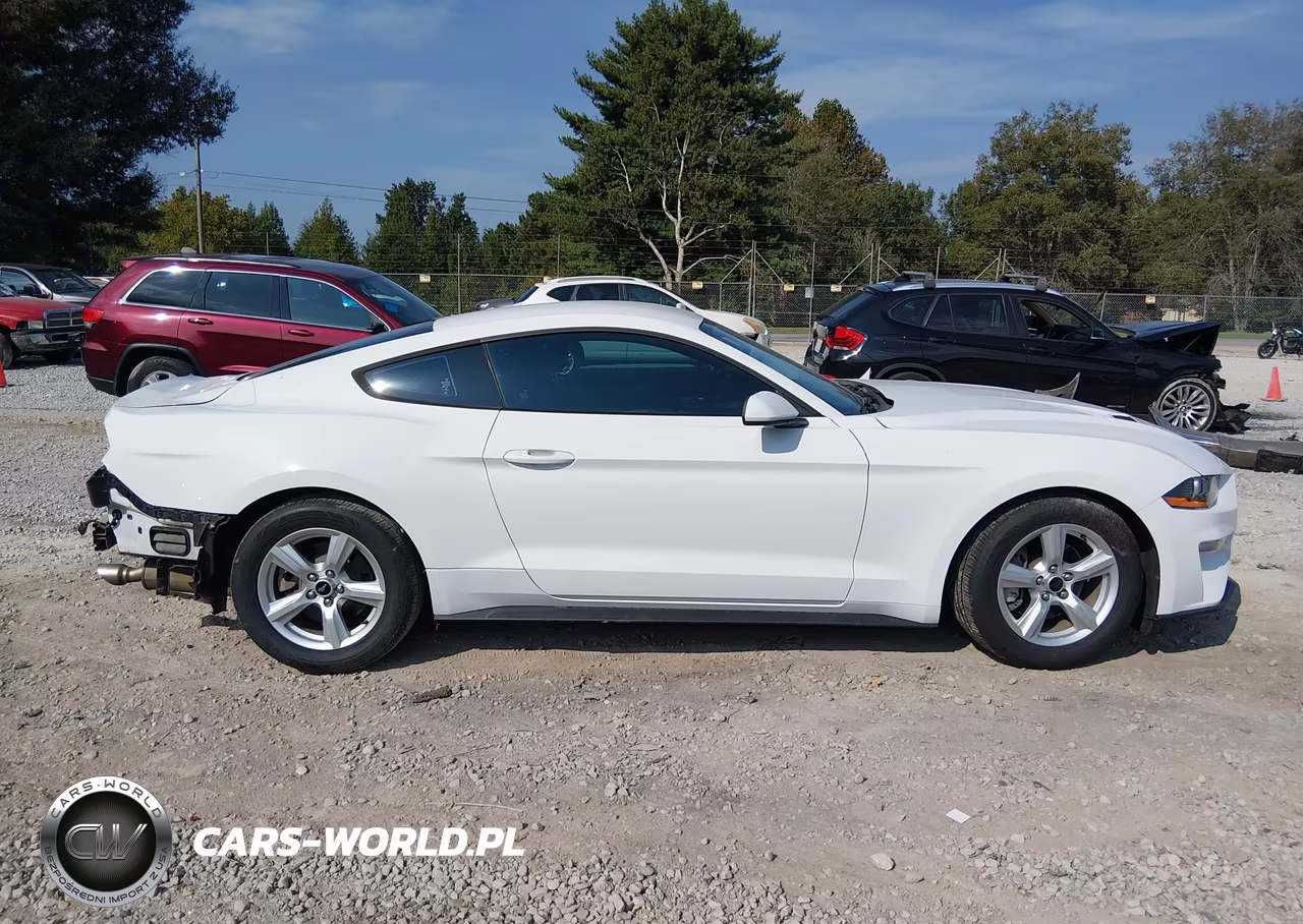 2018 Ford Mustang Ecoboost VIN:1FA6P8THXJ5106889 - 13