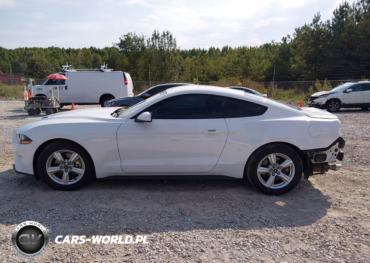 2018 Ford Mustang Ecoboost VIN:1FA6P8THXJ5106889 - 14