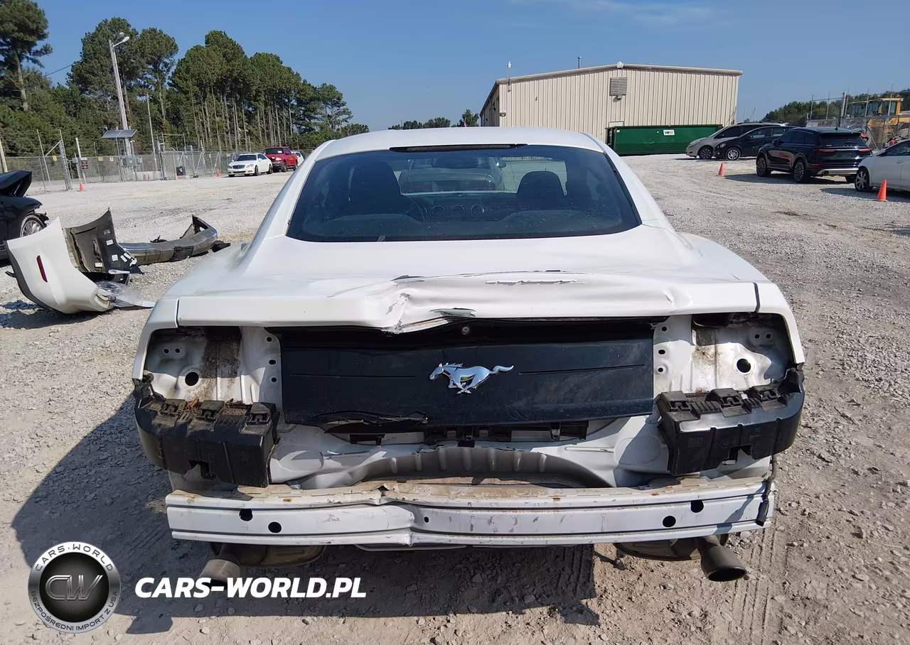 2018 Ford Mustang Ecoboost VIN:1FA6P8THXJ5106889 - 16