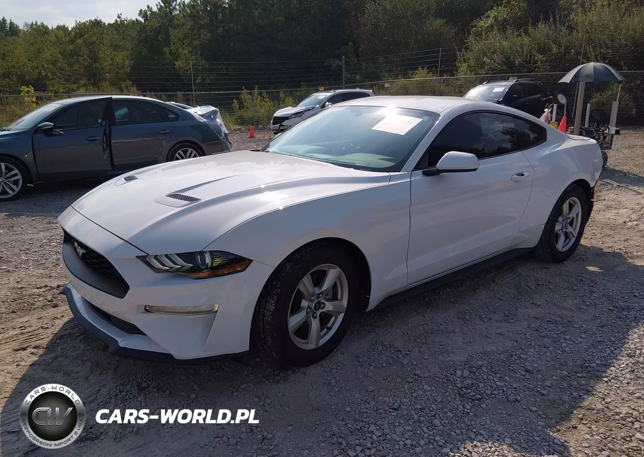 2018 Ford Mustang Ecoboost VIN:1FA6P8THXJ5106889 - 2
