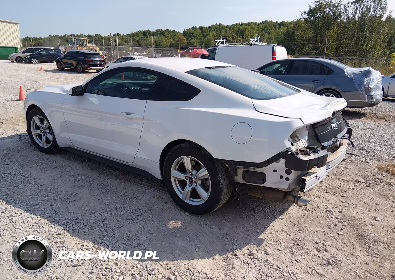 2018 Ford Mustang Ecoboost VIN:1FA6P8THXJ5106889 - 3