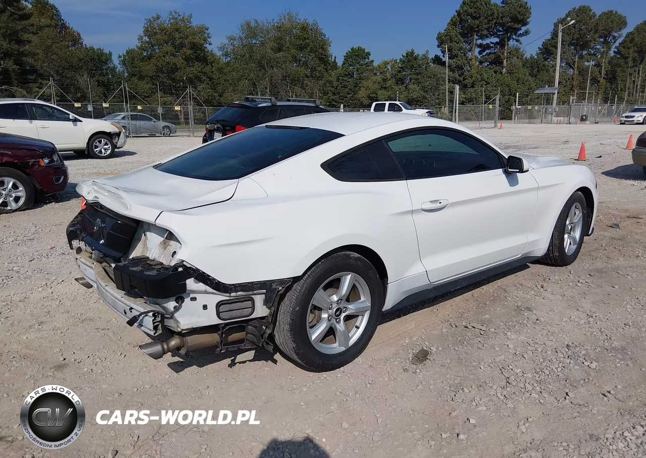 2018 Ford Mustang Ecoboost VIN:1FA6P8THXJ5106889 - 4