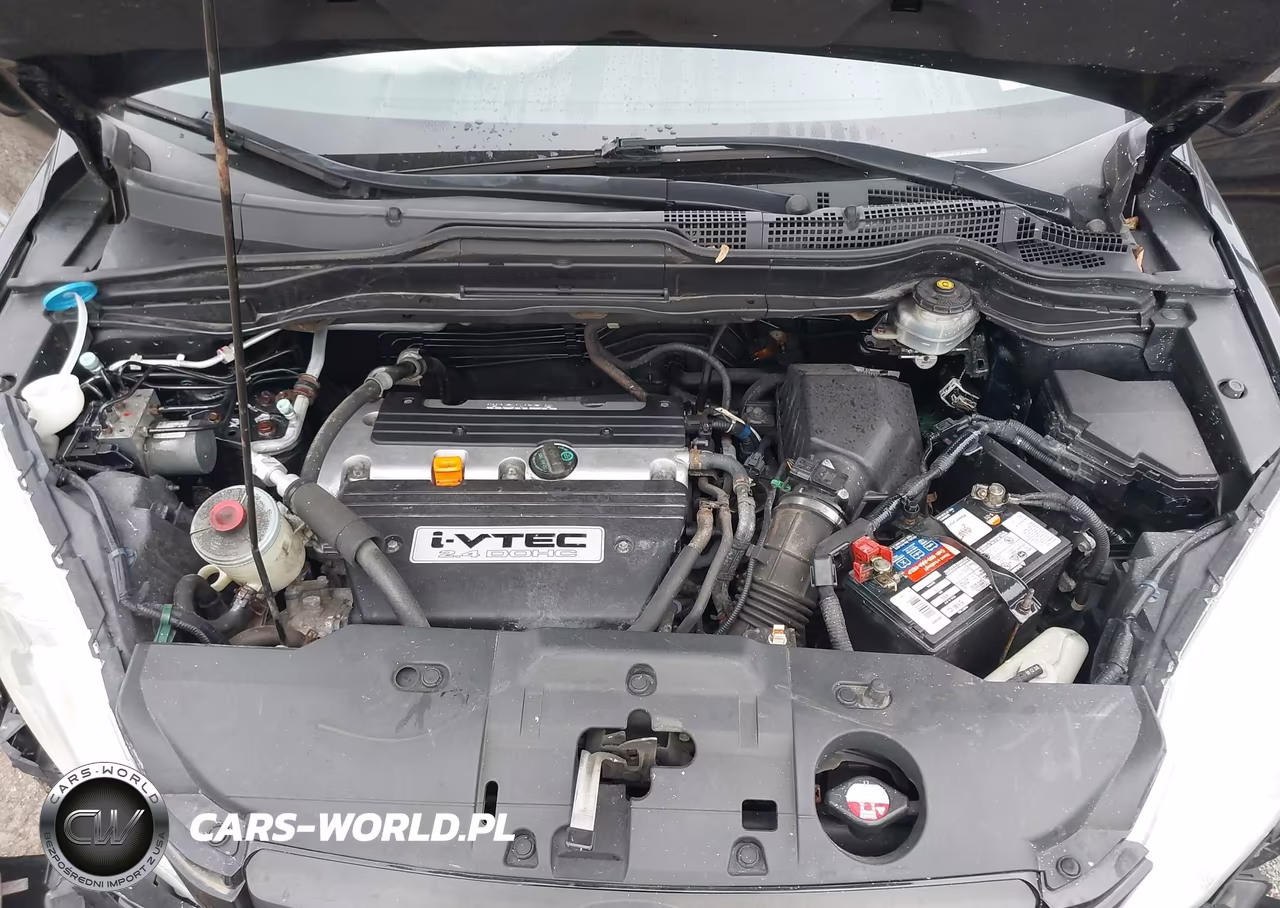 2009 Honda Cr-V Lx VIN:5J6RE48329L043999 - 10