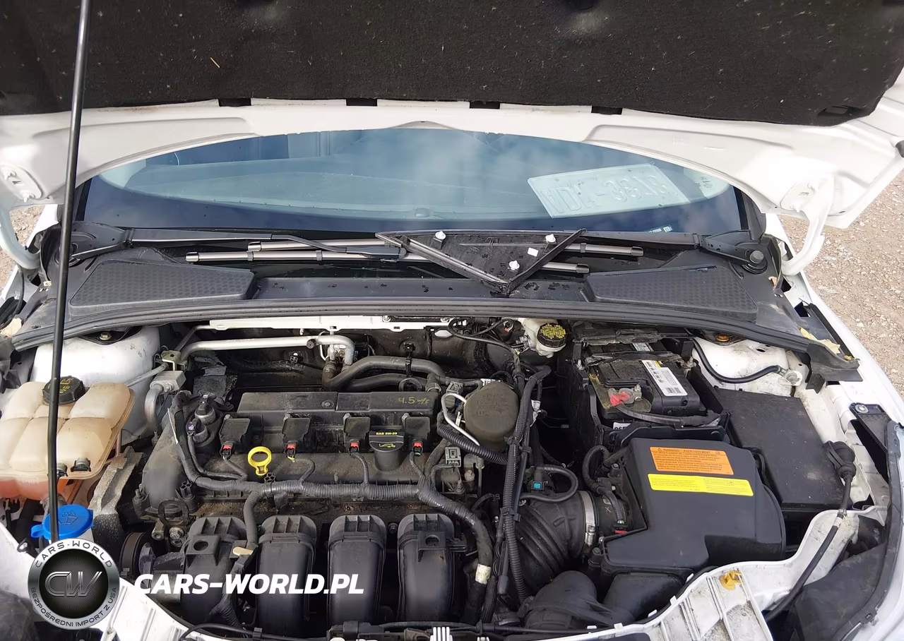 2014 Ford Focus Se VIN:1FADP3F24EL131533 - 10