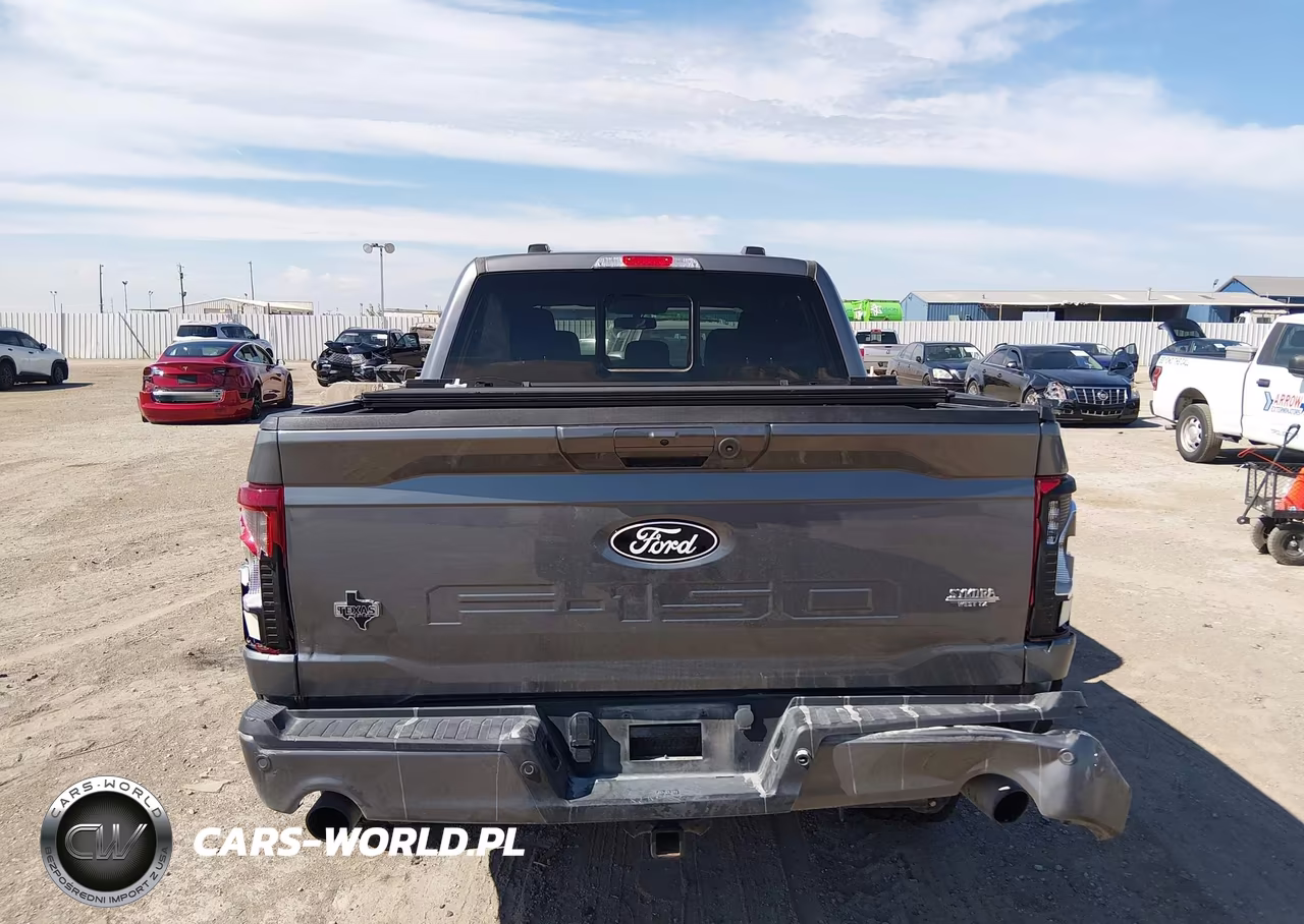 2024 Ford F-150 Xlt VIN:1FTFW3LD0RFB39497 - 16
