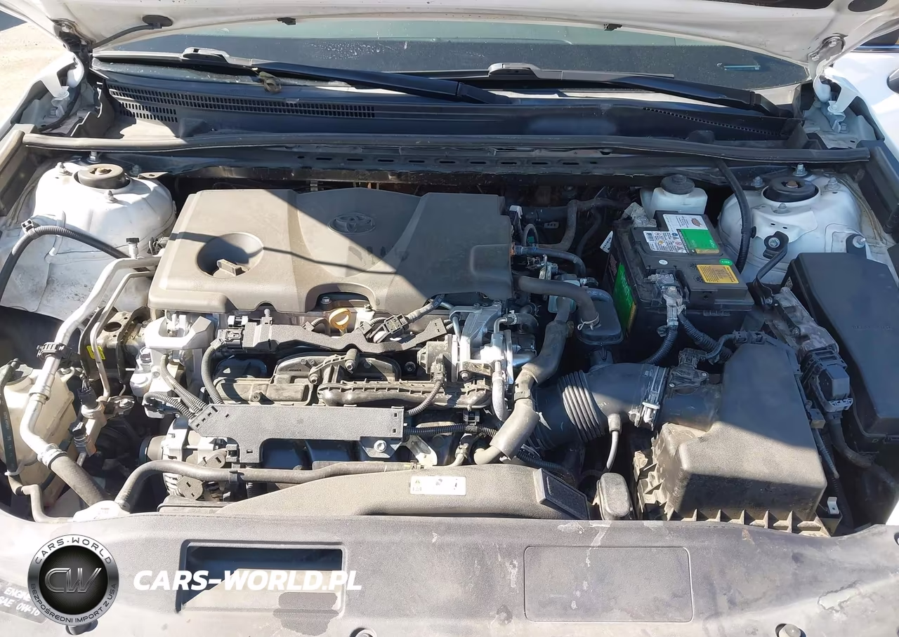 2020 Toyota Camry Se VIN:4T1G11AK0LU972790 - 10