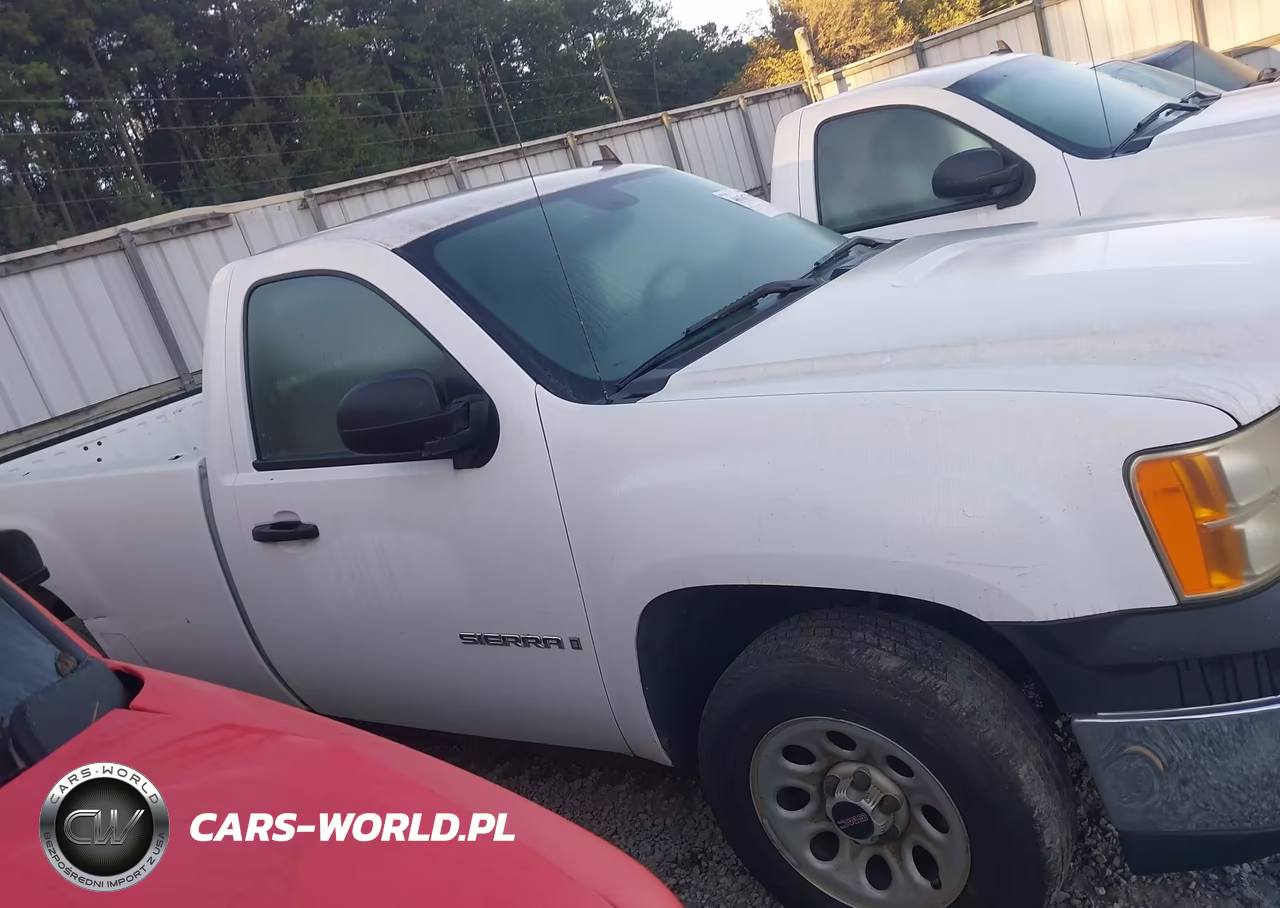 2009 GMC Sierra 1500 Work Truck VIN:1GTEC14C89Z135954 - 13