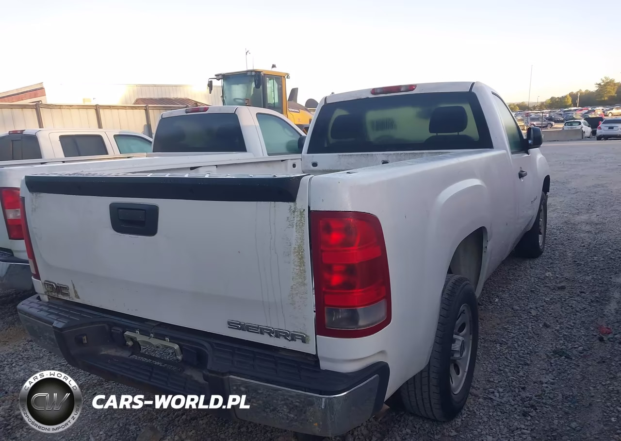 2009 GMC Sierra 1500 Work Truck VIN:1GTEC14C89Z135954 - 4