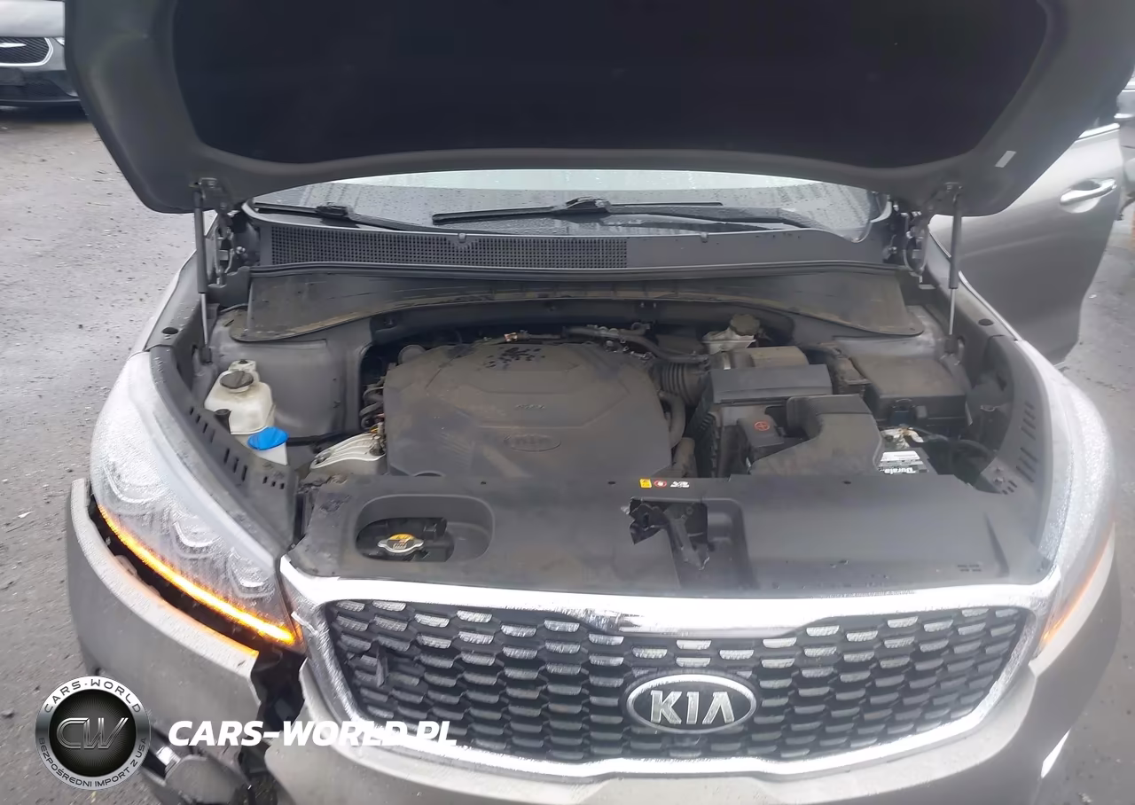 2019 Kia Sorento 3.3L Sxl VIN:5XYPKDA57KG449957 - 10