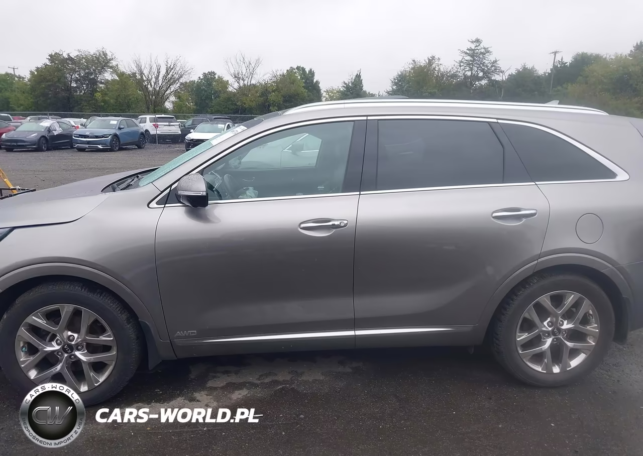 2019 Kia Sorento 3.3L Sxl VIN:5XYPKDA57KG449957 - 14