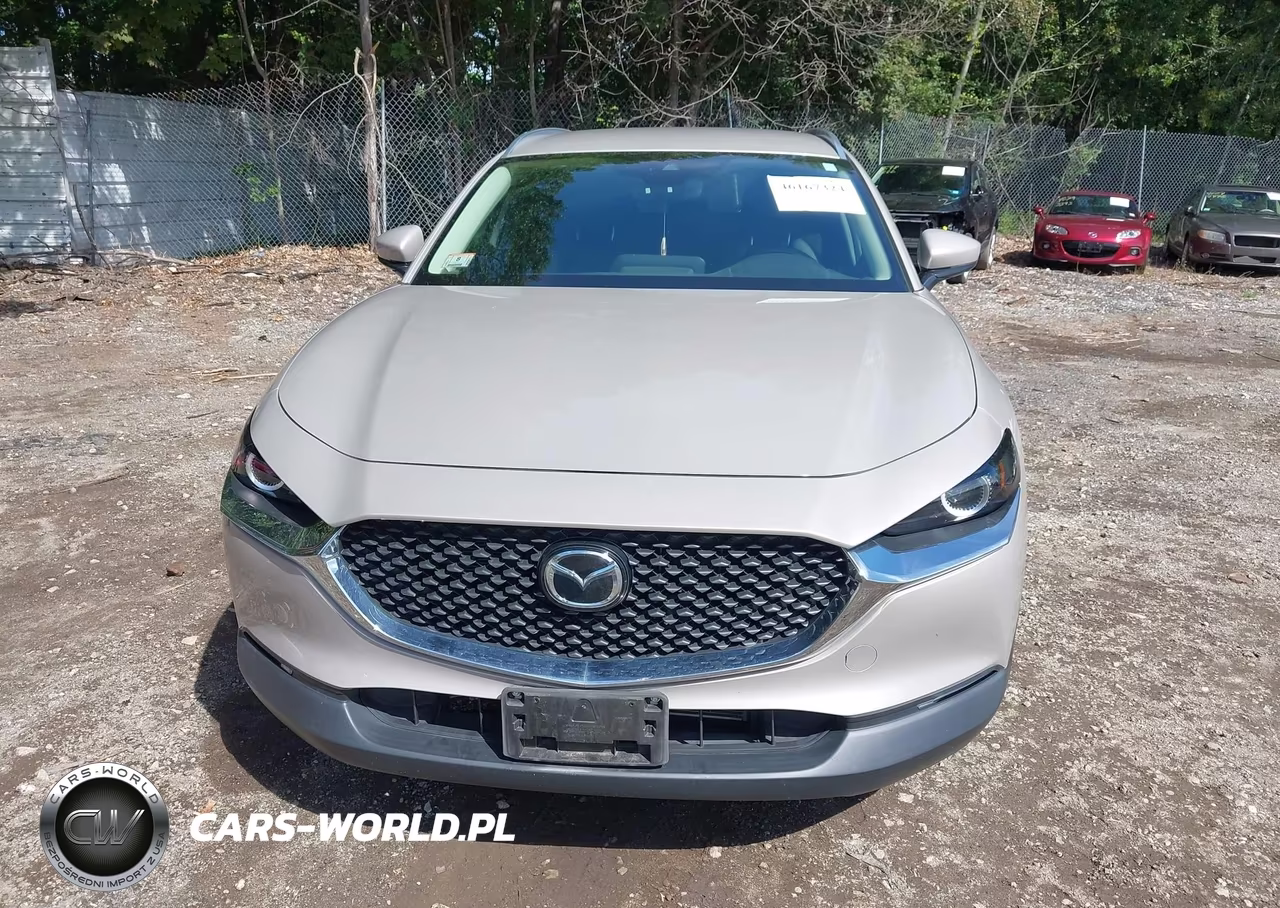 2022 Mazda Cx-30 Select VIN:3MVDMBBL2NM434660 - 12