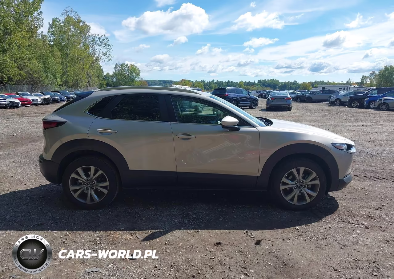 2022 Mazda Cx-30 Select VIN:3MVDMBBL2NM434660 - 13