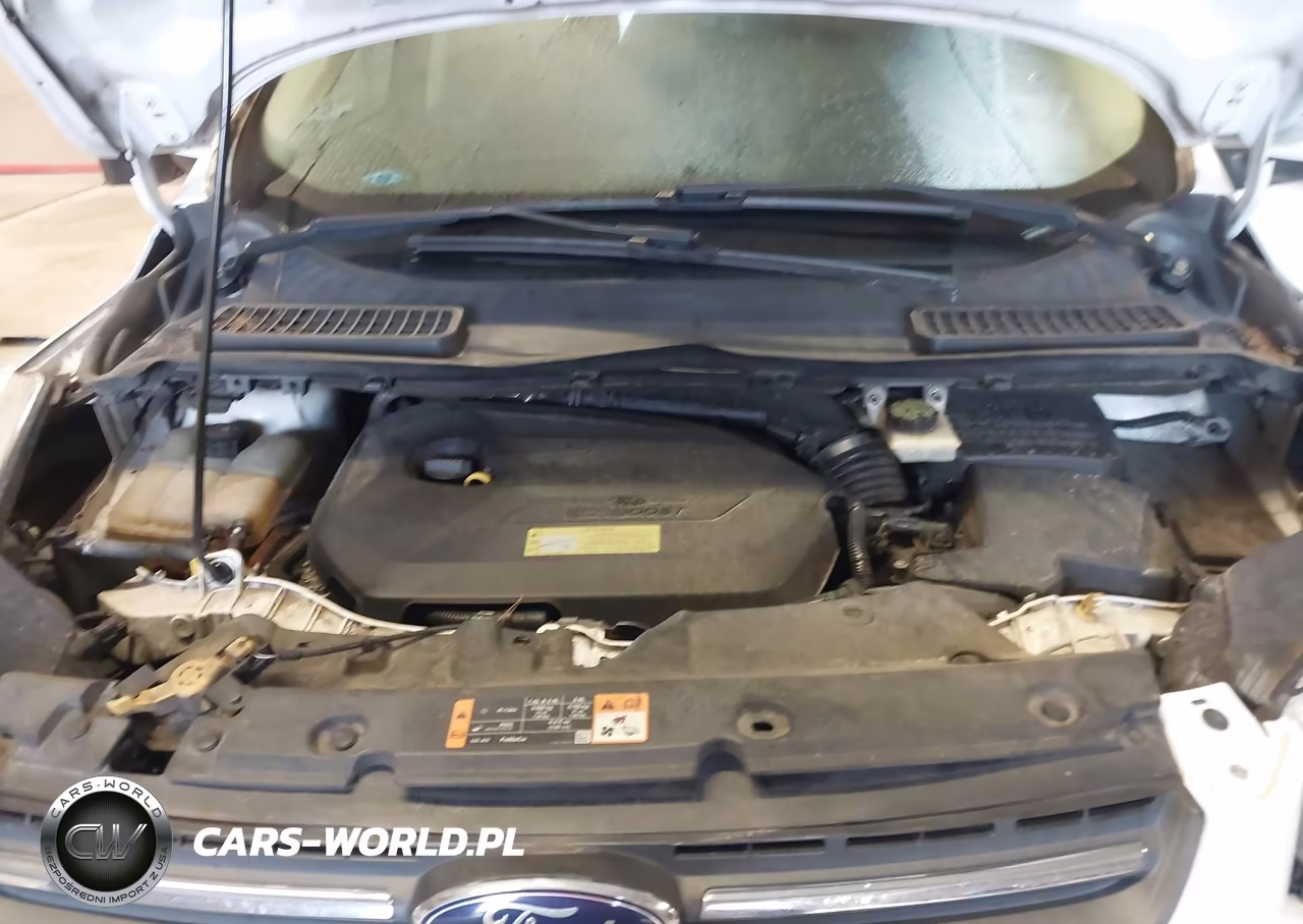 2013 Ford Escape Se VIN:1FMCU0GX1DUC67730 - 10