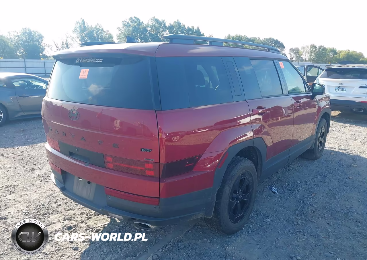2024 Hyundai Santa Fe Xrt VIN:5NMP3DGL6RH030193 - 4