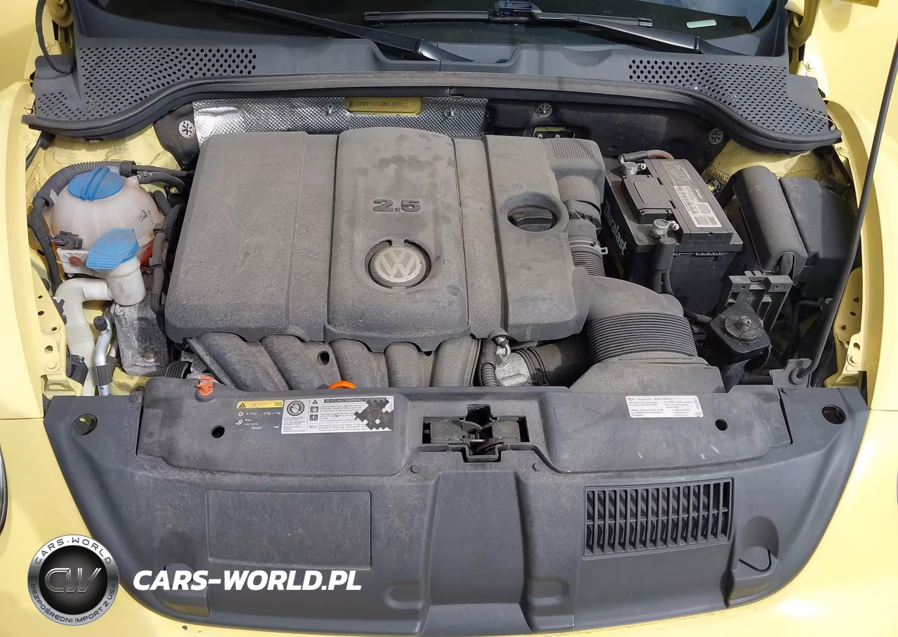 2013 Volkswagen Beetle 2.5L VIN:3VWHP7AT4DM658789 - 10