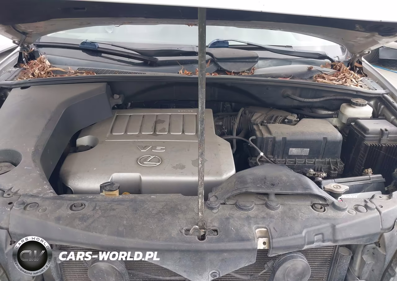 2009 Lexus Rx 350 VIN:2T2GK31U09C068888 - 6