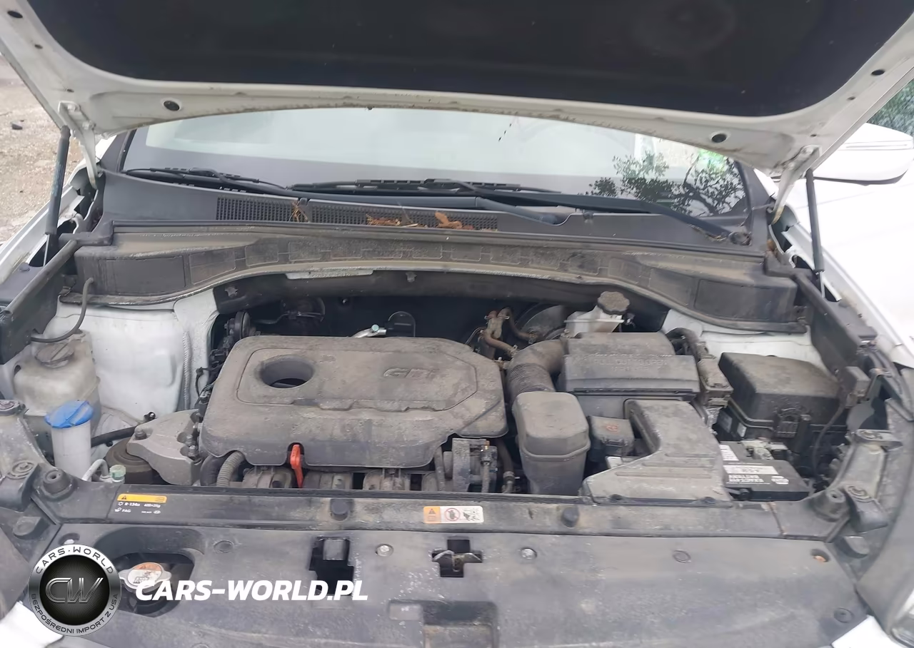 2017 Hyundai Santa Fe Sport 2.4L VIN:5XYZUDLB3HG432880 - 10
