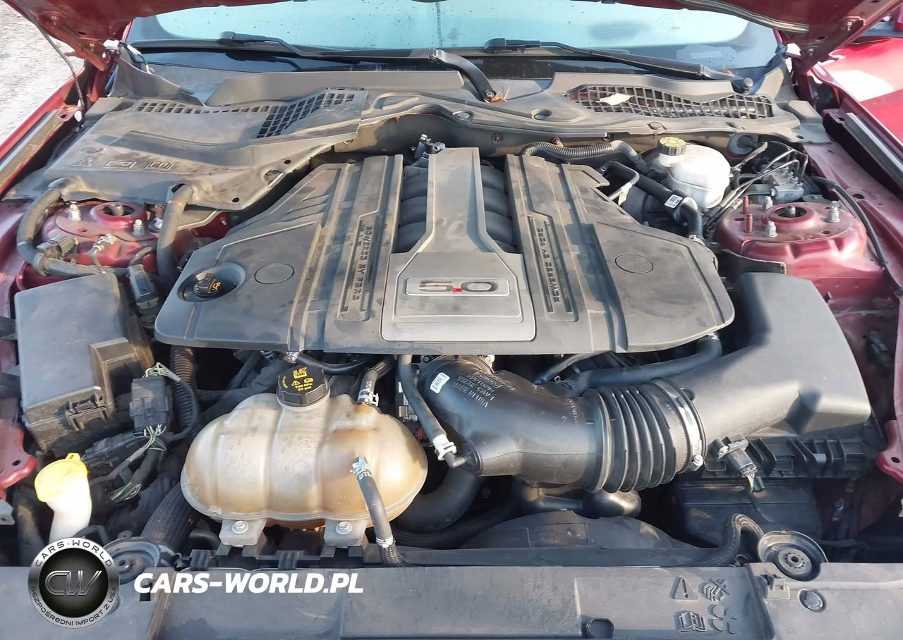 2019 Ford Mustang Gt VIN:1FA6P8CF2K5116526 - 10