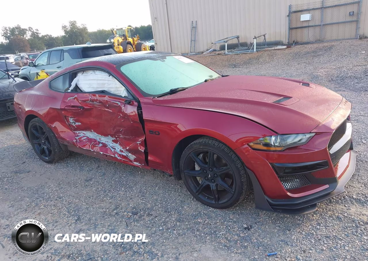 2019 Ford Mustang Gt VIN:1FA6P8CF2K5116526 - 13