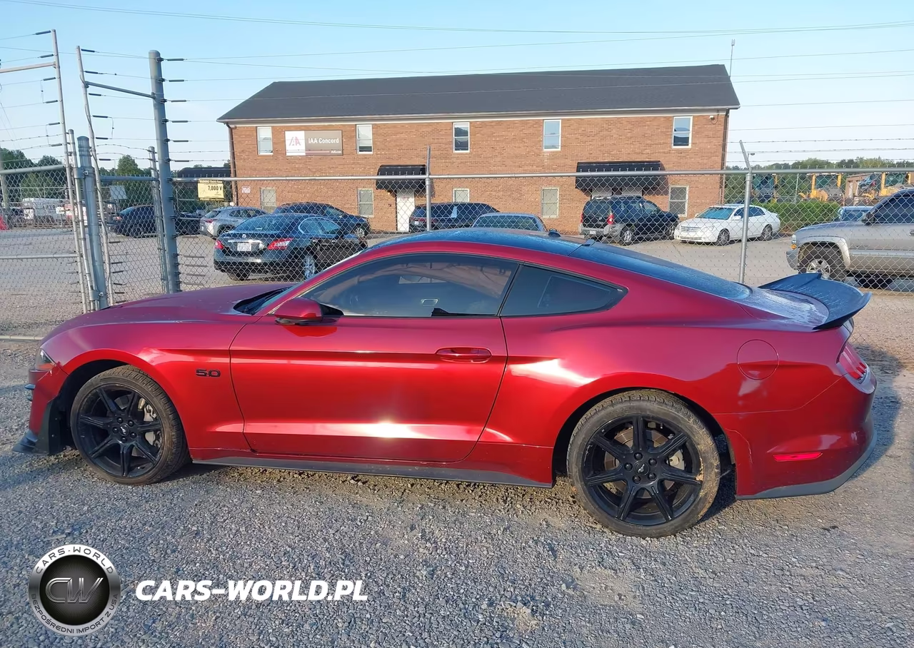 2019 Ford Mustang Gt VIN:1FA6P8CF2K5116526 - 14