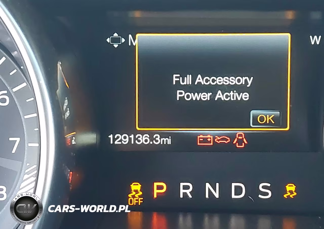 2019 Ford Mustang Gt VIN:1FA6P8CF2K5116526 - 15