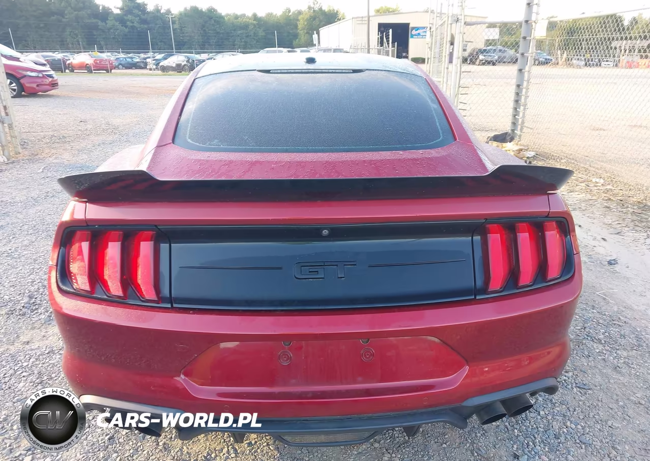 2019 Ford Mustang Gt VIN:1FA6P8CF2K5116526 - 16