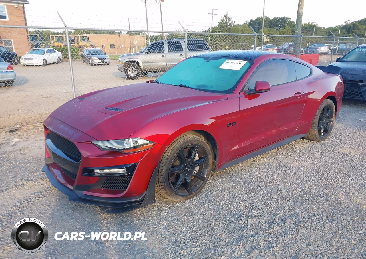 2019 Ford Mustang Gt VIN:1FA6P8CF2K5116526 - 2