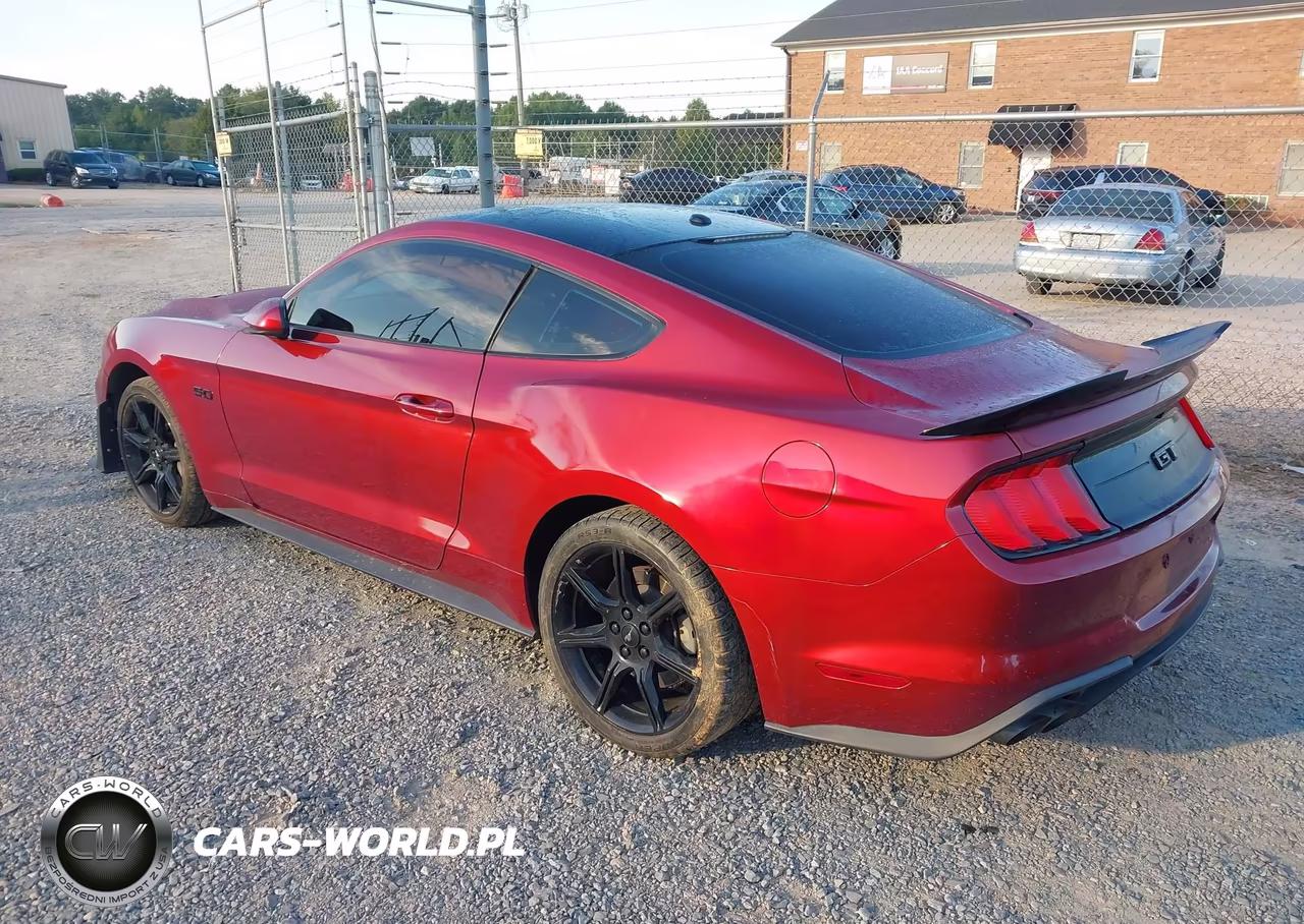 2019 Ford Mustang Gt VIN:1FA6P8CF2K5116526 - 3
