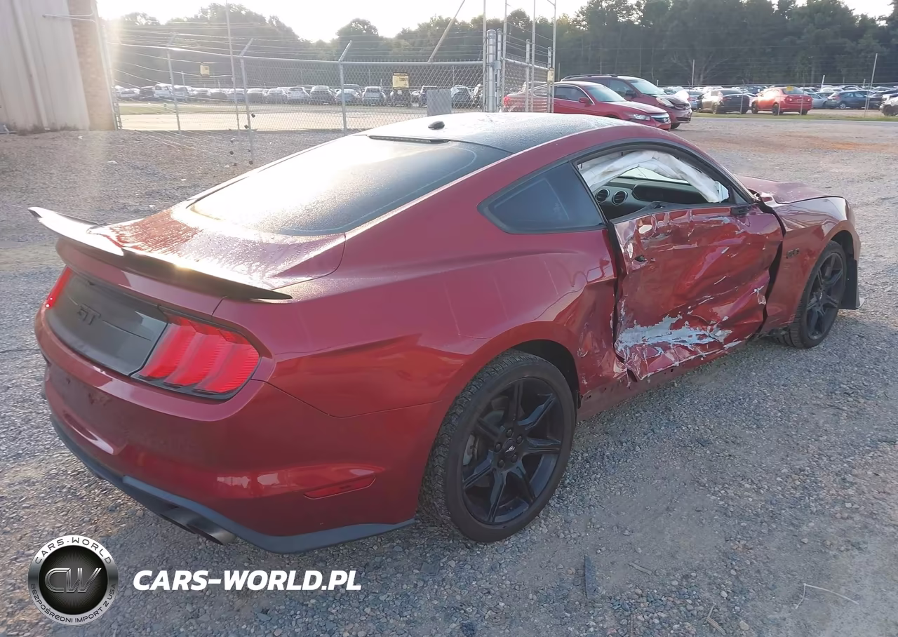 2019 Ford Mustang Gt VIN:1FA6P8CF2K5116526 - 4