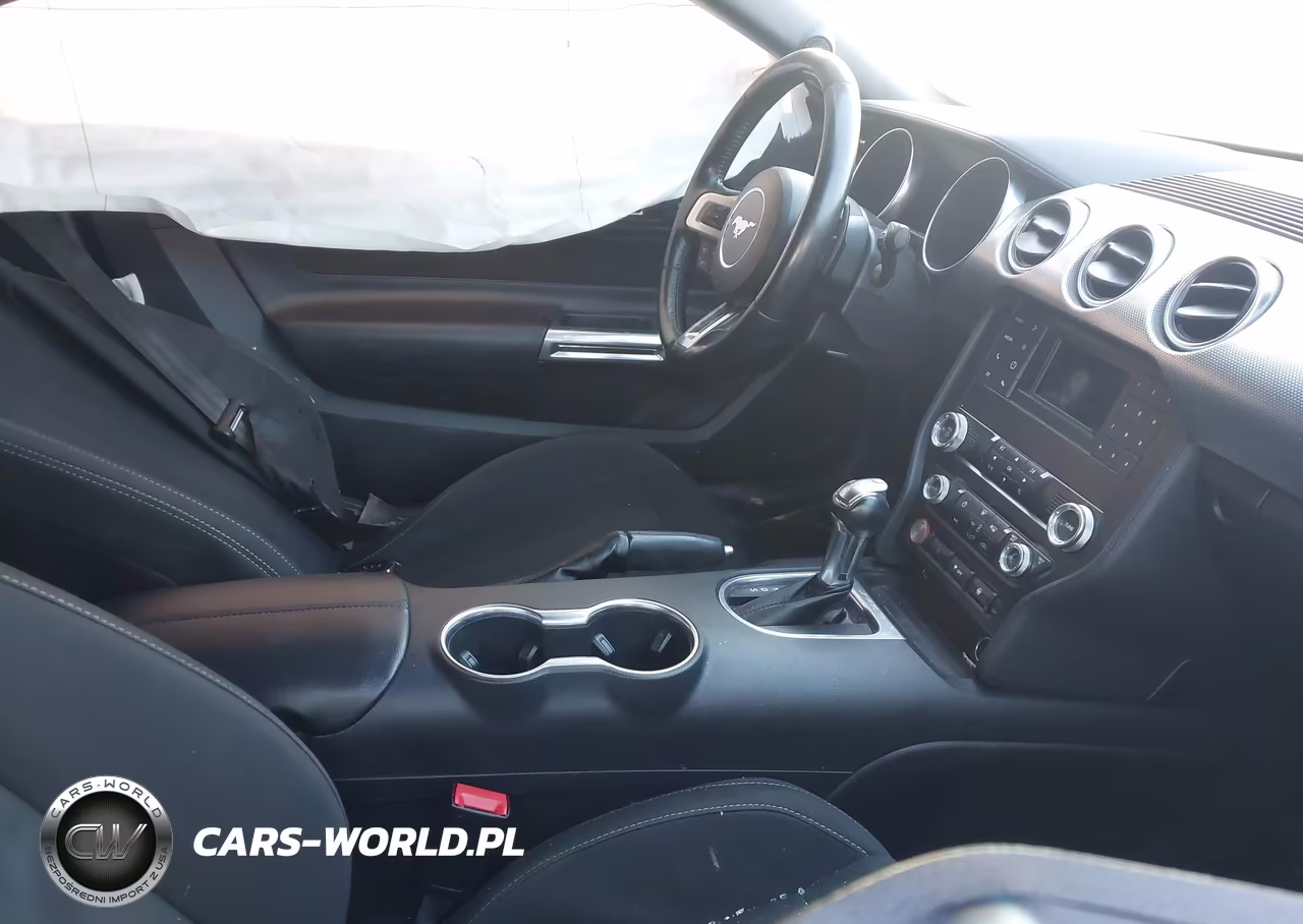 2019 Ford Mustang Gt VIN:1FA6P8CF2K5116526 - 5