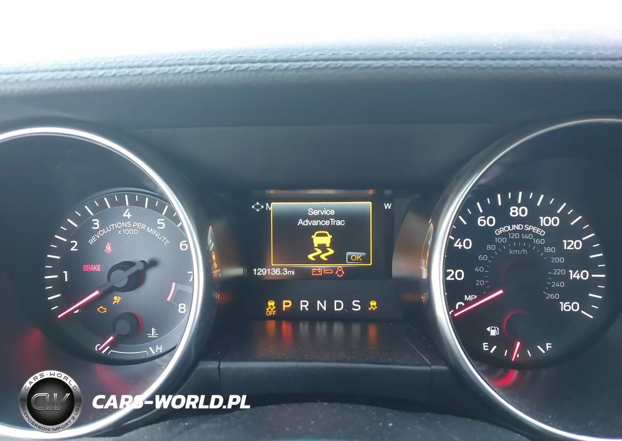 2019 Ford Mustang Gt VIN:1FA6P8CF2K5116526 - 7
