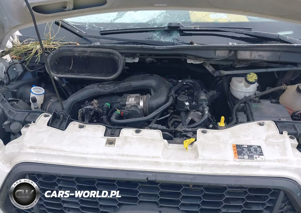 2021 Ford Furgoneta De Carga Transit-350 VIN:1FTBW3U83MKA48224 - 10